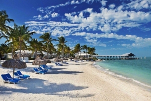 From Miami: Key West Tour with Choice of Water Activities
