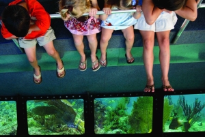 From Miami: Key West Tour with Choice of Water Activities