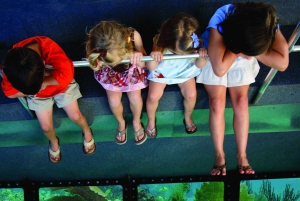 From Miami: Key West Tour with Water Sports Activities