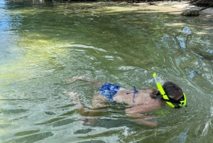 Miami Beach: Private Boat Tour Rental Charter