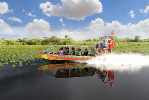 Miami Combo: Hop-on Hop-off Tour, Bay Cruise, & Everglades