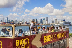 Miami Combo: Hop-on Hop-off Tour, Bay Cruise, & Everglades