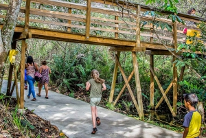 Miami Combo: Hop-on Hop-off Tour, Bay Cruise, & Everglades