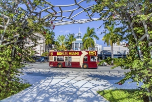 Miami Combo: Hop-on Hop-off Tour, Bay Cruise, & Everglades