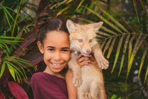 Miami Combo: Hop-on Hop-off Tour, Bay Cruise, & Everglades