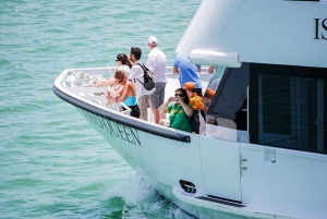 Miami Combo: Hop-on Hop-off Tour, Bay Cruise, & Everglades