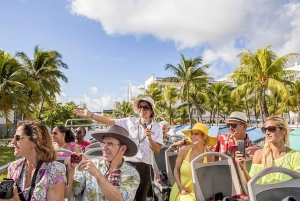 Miami Combo: Hop-on Hop-off Tour, Bay Cruise, & Everglades