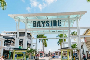 Miami Combo: Open-top Bus Tour & Millionaires Row Bay Cruise