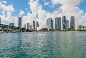 Miami Combo: Open-top Bus Tour & Millionaires Row Bay Cruise