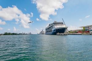 Miami Combo: Open-top Bus Tour & Millionaires Row Bay Cruise