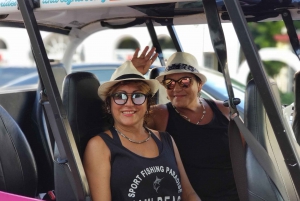 Miami: Odkryj South Beach Tour