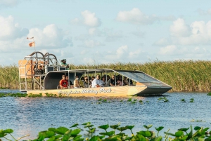 Miami: Everglades Airboat, Wildlife Show, & Roundtrip Bus