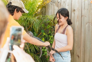 Miami: Everglades Airboat, Wildlife Show, & Roundtrip Bus