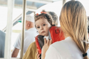 Miami: Everglades Airboat, Wildlife Show, & Roundtrip Bus