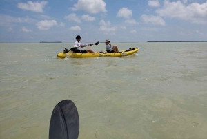 Miami: tour en kayak y senderismo por el Parque Nacional de los Everglades