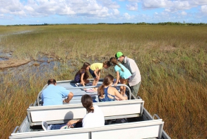 Miami: Go City All-Inclusive Pass with 25+ Attractions