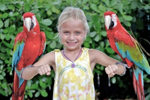 Miami: Go City All-Inclusive Pass with 25+ Attractions