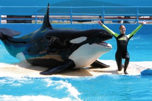 Miami: Go City All-Inclusive Pass with 25+ Attractions