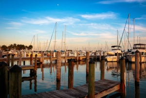 Miami: Half-Day City and Boat Tour