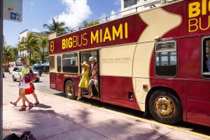 Miami: Half-Day Open-Top Bus & Millionaire's Row Boat Cruise