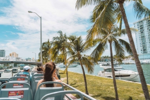 Miami: Hop-on Hop-off City Tour w/ Boat & Everglades Options