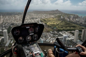 Miami: Private Helicopter Adventure