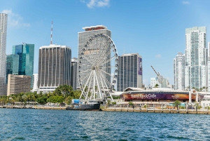 Miami: Sightseeing Speedboat Tour