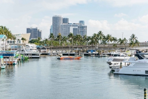 Miami: Sightseeing Speedboat Tour