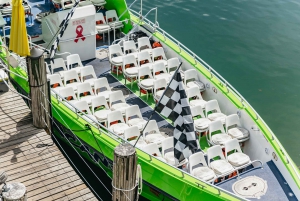 Miami: Sightseeing Speedboat Tour