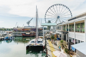 Miami: Sightseeing Speedboat Tour