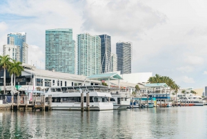 Miami: Sightseeing Speedboat Tour