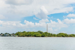 Miami: Sightseeing Speedboat Tour