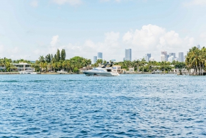 Miami: Sightseeing Speedboat Tour