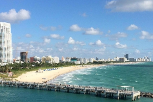 Miami: South Beach & Downtown 2-3 Person Private Plane Tour