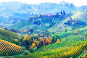 Milán: lo mejor del Piamonte: cata de vino Barolo, Alba y castillo