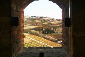 Milán: lo mejor del Piamonte: cata de vino Barolo, Alba y castillo