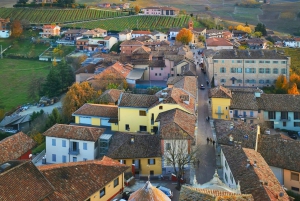 Milán: lo mejor del Piamonte: cata de vino Barolo, Alba y castillo