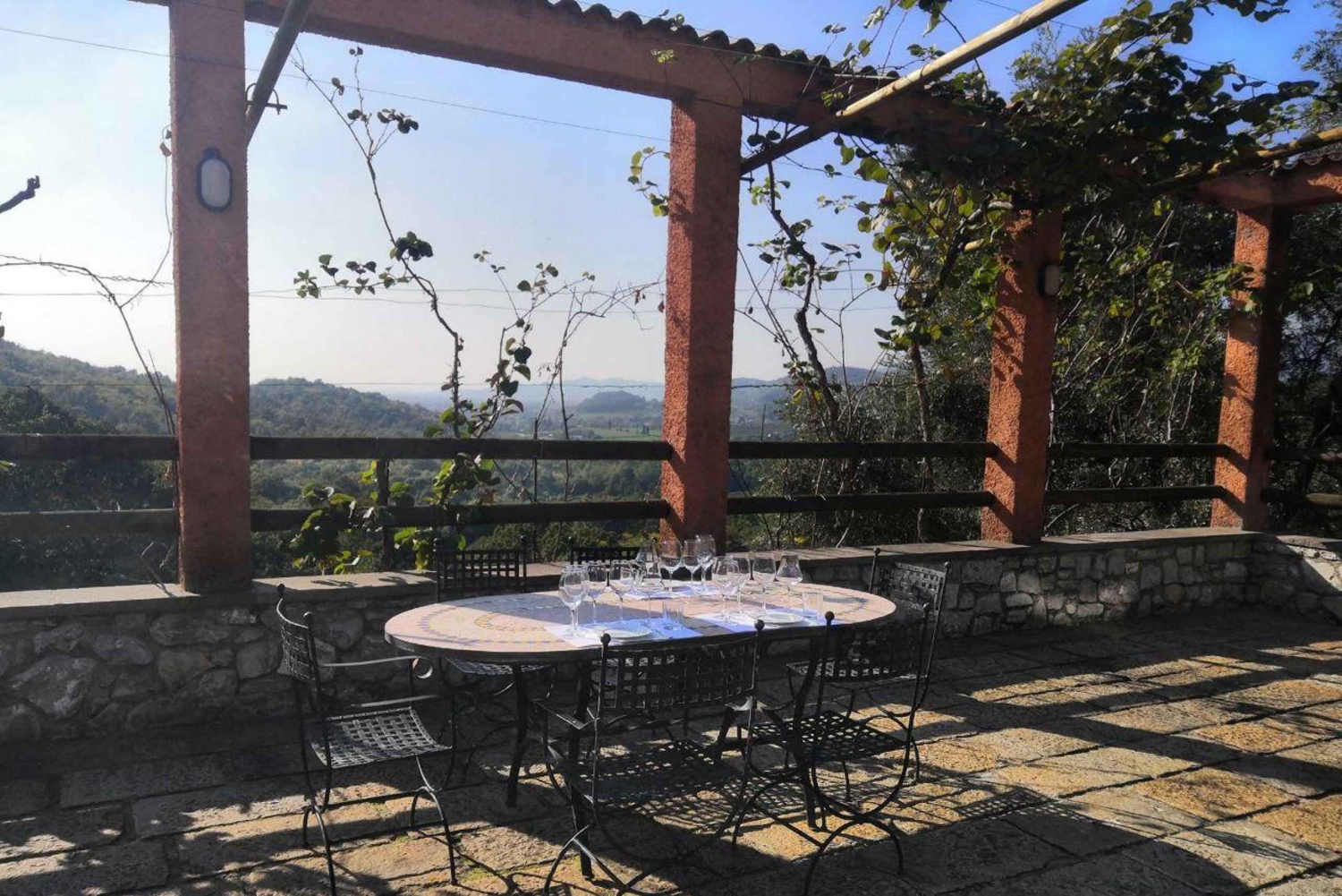 Fra Milano: Bergamo-tur med alt inkludert og Moscato-smaking