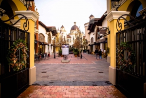 From Milan: Fidenza Shopping Express-The Bicester Collection