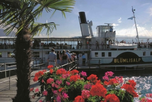 From Milan: Interlaken & Swiss Alps Day Trip