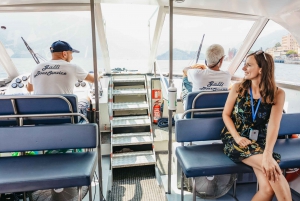 From Milan: Lake Como and Bellagio Private Boat Cruise