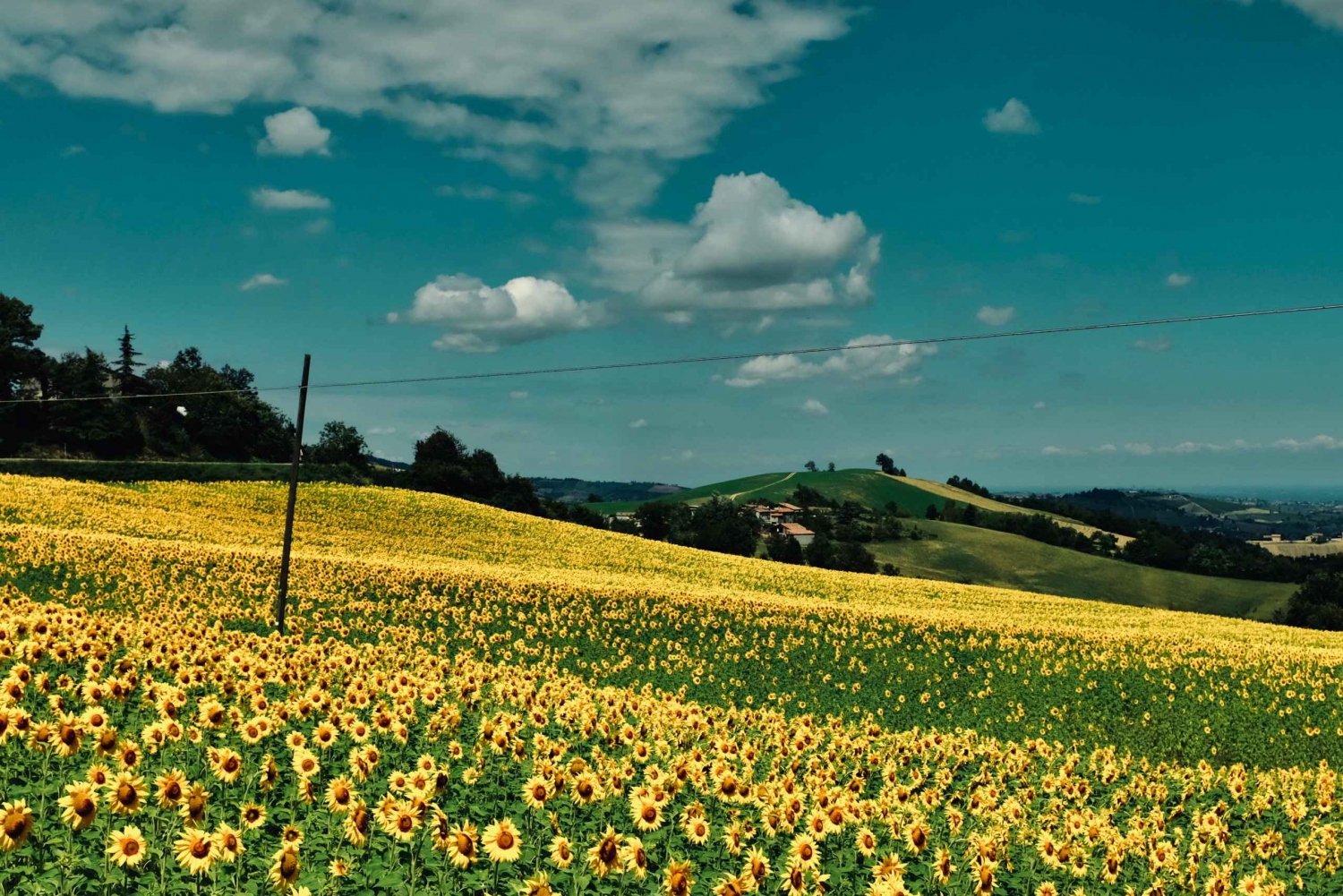 De Milão: tour privado para Certosa e Oltrepò com degustação