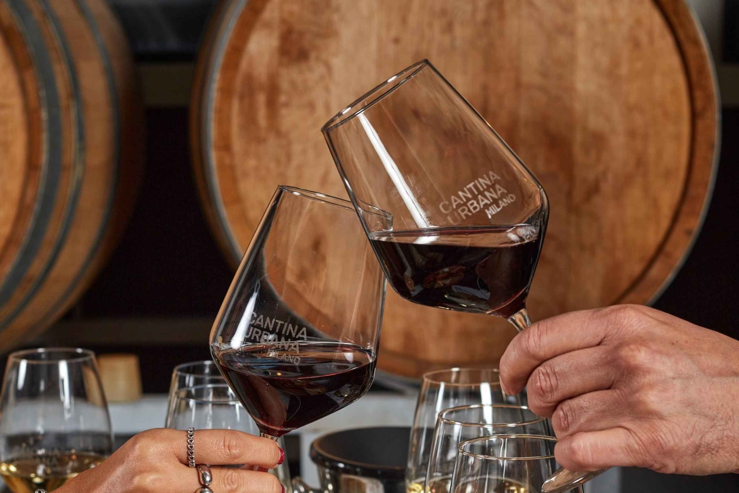 Cave urbaine de Milan : dégustation et visite guidée à la Cantina Urbana