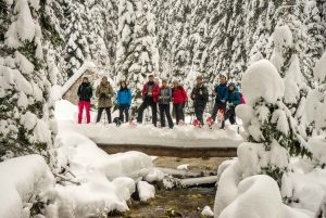 Durmitor National Park: Snowshoe Tour Black & Zminje Lake
