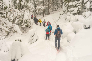 Durmitor National Park: Snowshoe Tour Black & Zminje Lake