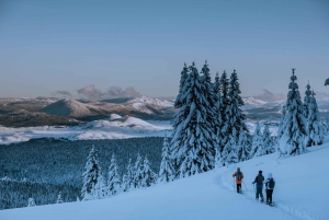 Durmitor National Park: Snowshoe Tour Black & Zminje Lake