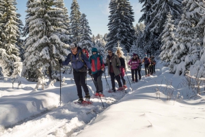 Durmitor National Park: Snowshoe Tour Black & Zminje Lake