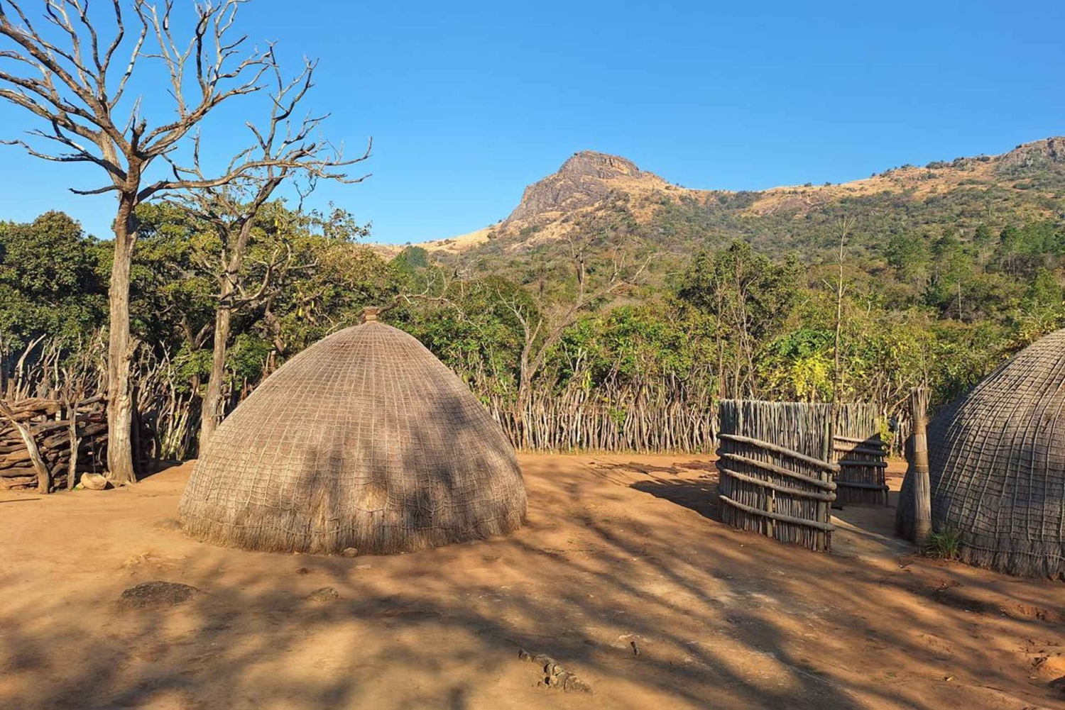 A partir de Maputo: Excursão cultural e safari de 1 dia ao Parque Real Hlane