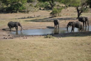 Hazyview: 8 päivän safari Etelä-Afrikassa, Mosambikissa ja Eswatinissa