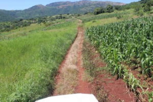 Hazyview: 8 päivän safari Etelä-Afrikassa, Mosambikissa ja Eswatinissa